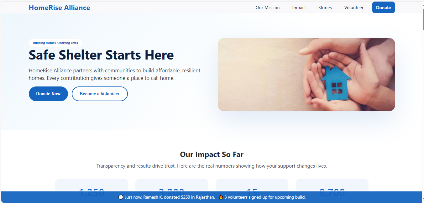 NGO shelter website screenshot
